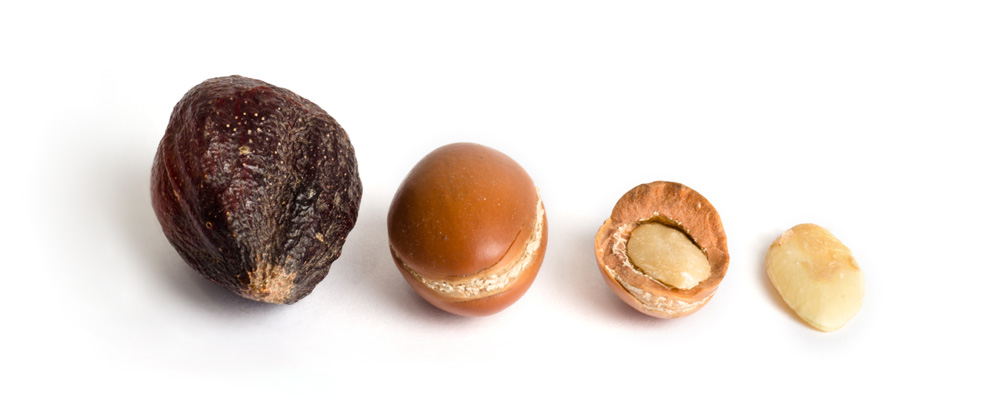 Argan Nuts